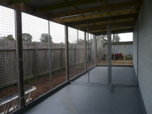 New_kennel_room2